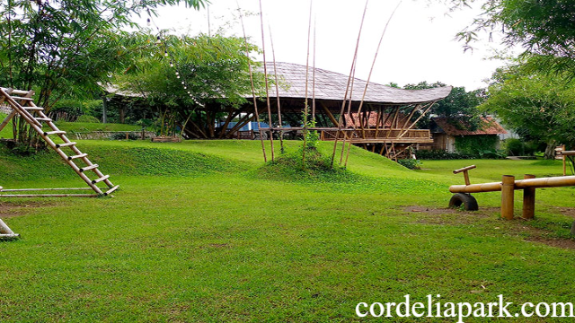 Rekomendasi Wisata Alam di Cirebon yang Menyegarkan Pikiran